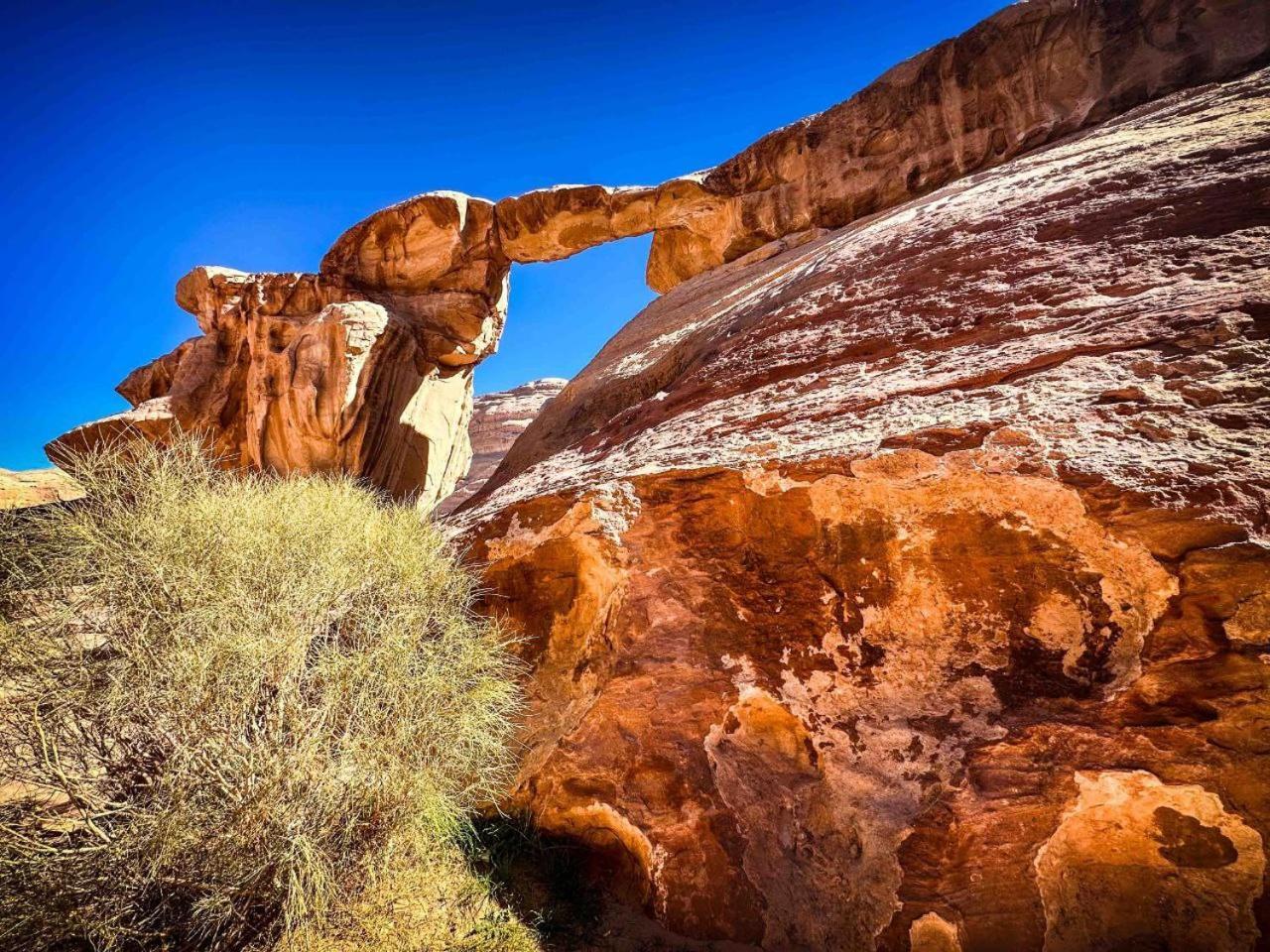 Отель Wadi Rum Al-Omar Экстерьер фото